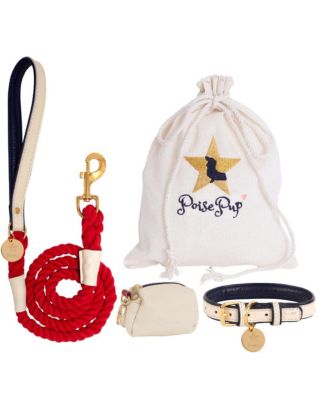 Pet Dog 5ft Long Leash - Hot Marine