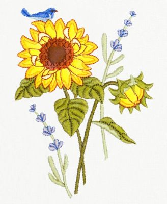 Turkish Cotton Girasol Embellished 2-Pc. Hand Towel Set