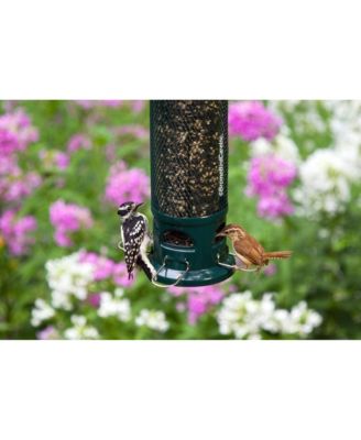 Legacy Squirrel-proof Bird Feeder 2.6lb Seed Capacity
