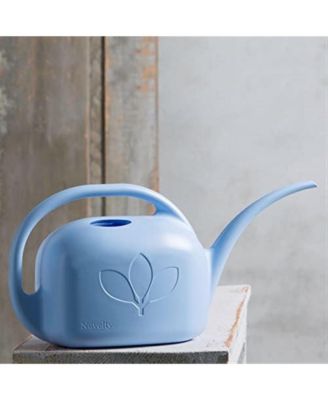 Indoor Plastic Long Spout Watering Can, Sky Blue, 1 Gallon