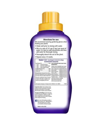 Organic Violet African Violet Food Liquid Concentrate, 8 fl oz