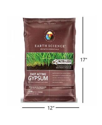 11882-80 Fast Acting Gypsum, 25 Lbs