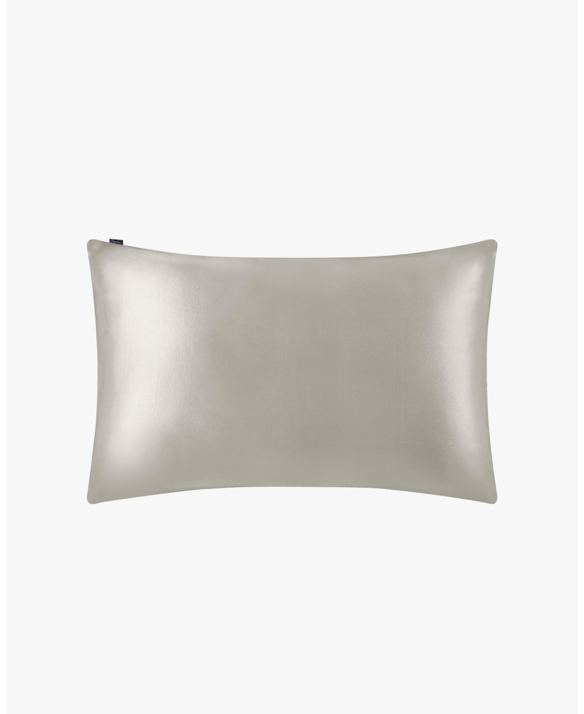 Lilysilk 22 Momme Terse Envelope Silk Pillowcase Queen In Silver Gray