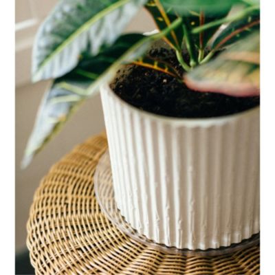 Curtis Wagner Plastics Vinyl Plant Saucer, Clear, 16-Inch Diameter