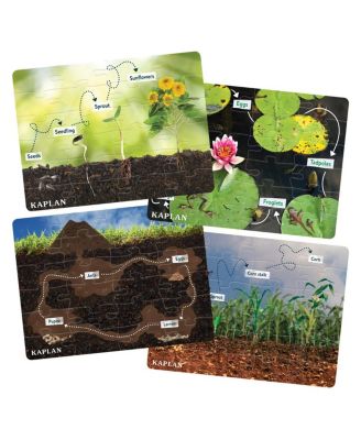 Kaplan Early Learning