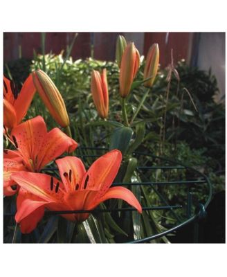 Luster Leaf Grow Through Grid, 24 x 16