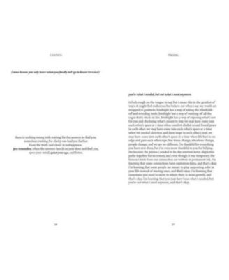 Velvet Dragonflies by Billy Chapata