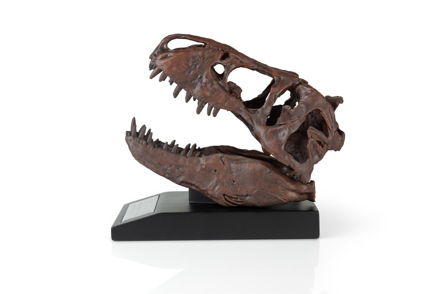 Детские фигурки Master Replicas The Nation's T-Rex Smithsonian 1:10 Scale 6" Skull Replica, 14 Years & Up, цвет: Assorted Pre-Pack — фото 3