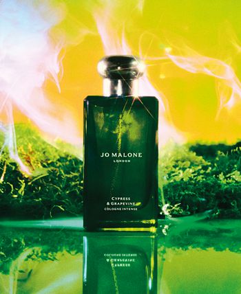 Cologne new arrivals intense collection