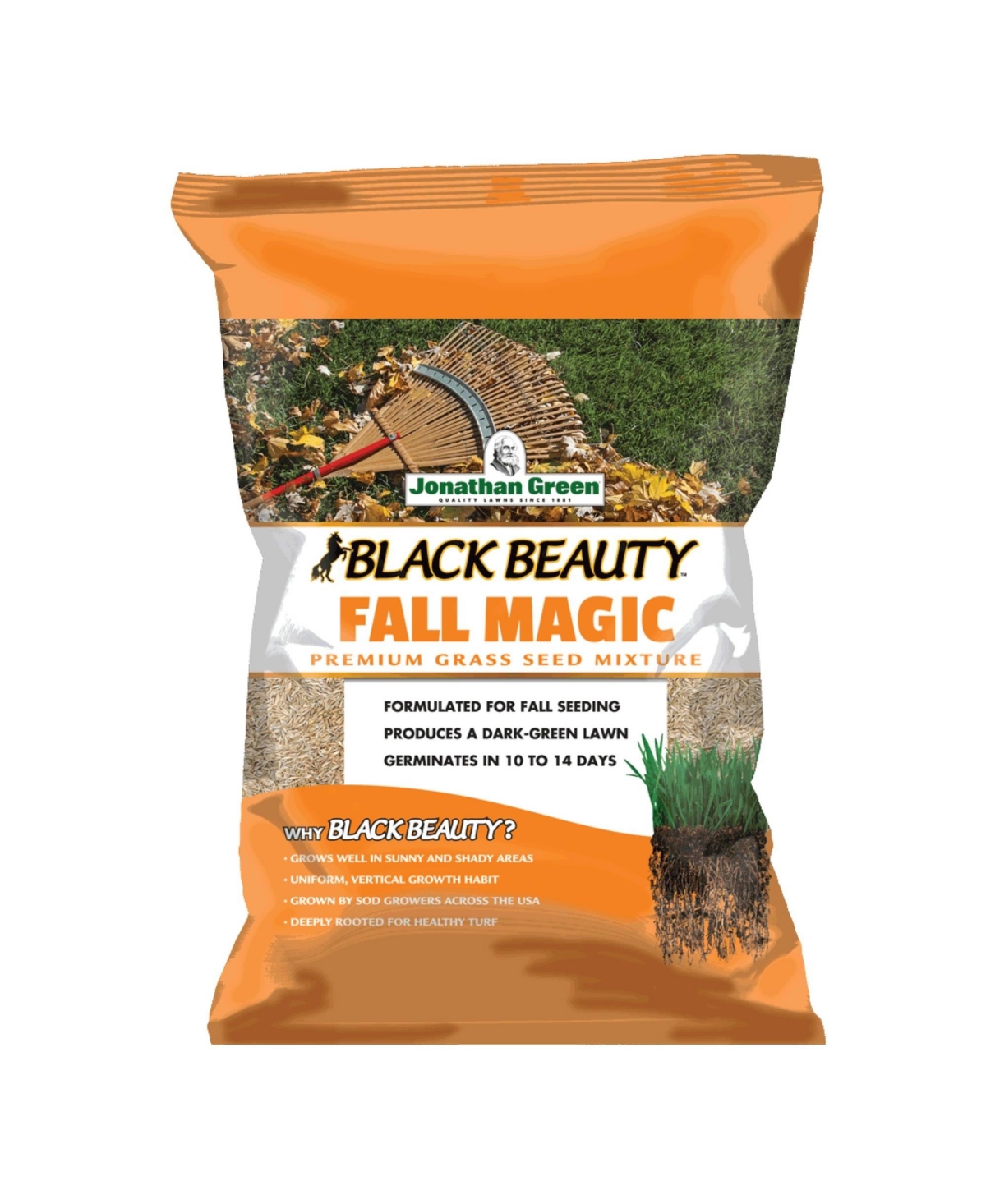 (#10765) Black Beauty Fall Magic Grass Seed, 3lb bag - Brown