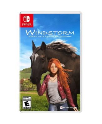 WINDSTORM START OF A GREAT FREINDSHIP - SWITCH