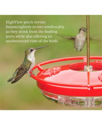 Humm-Blossom Feeder, Rose, 4oz