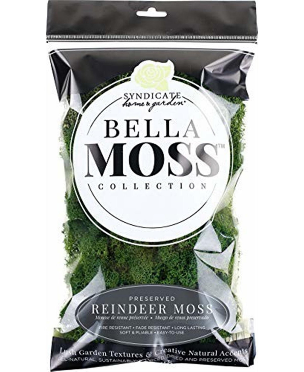 Bella Moss Preserved Reindeer Moss, Dark Green, 80 cu in.