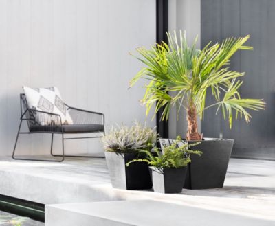 12in Rotterdam Indoor and Outdoor Square Planter