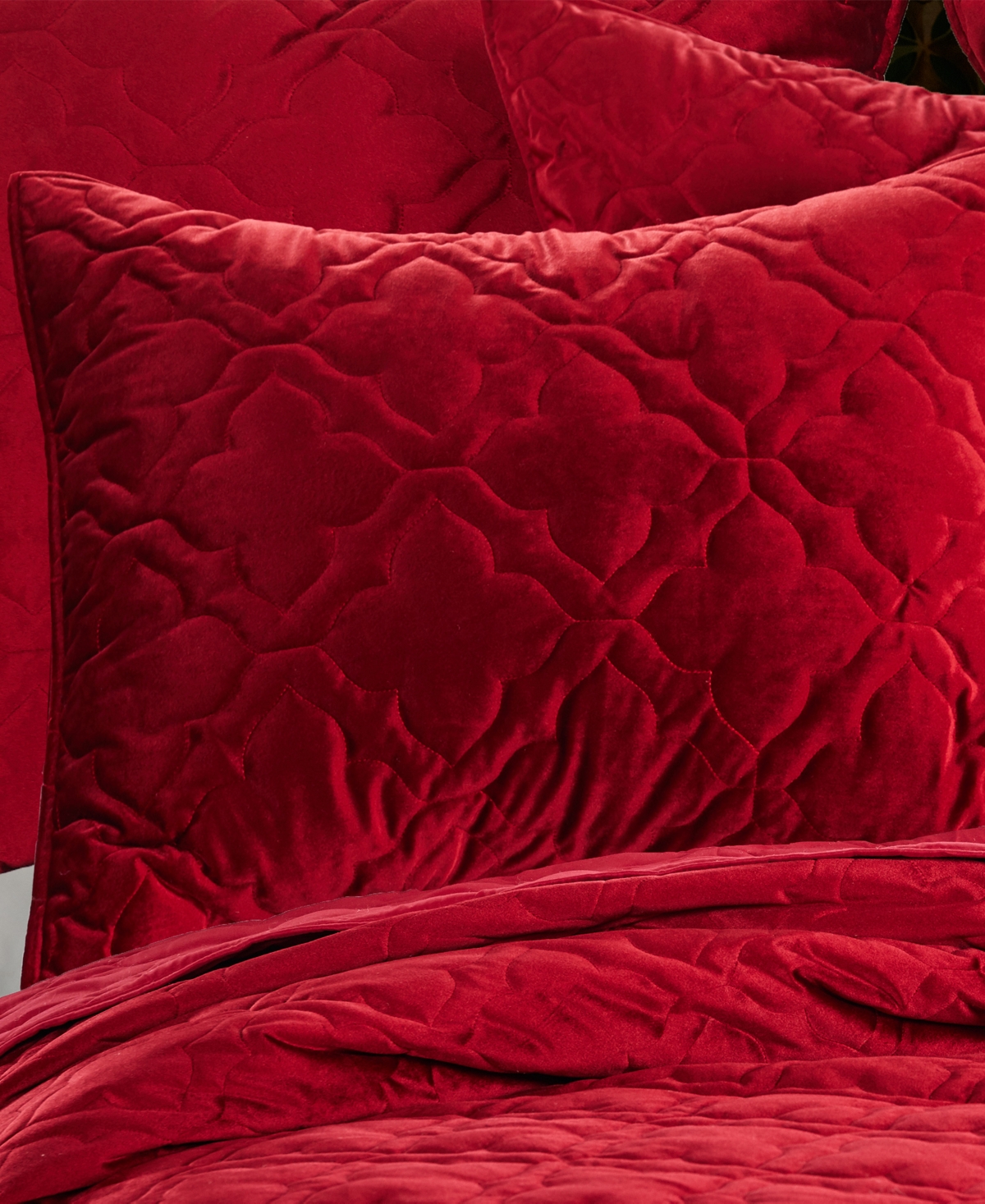 Levtex Caserta Velvet Quilt, King/California King
