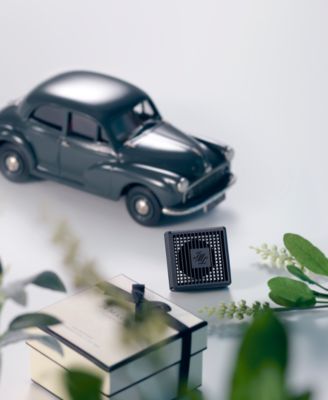 Wood Sage & Sea Salt Car Diffuser Refill