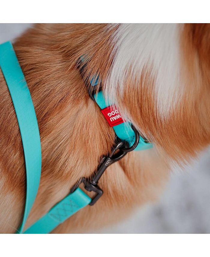 Waudog Waterproof dog leash, glows in the dark Macy's