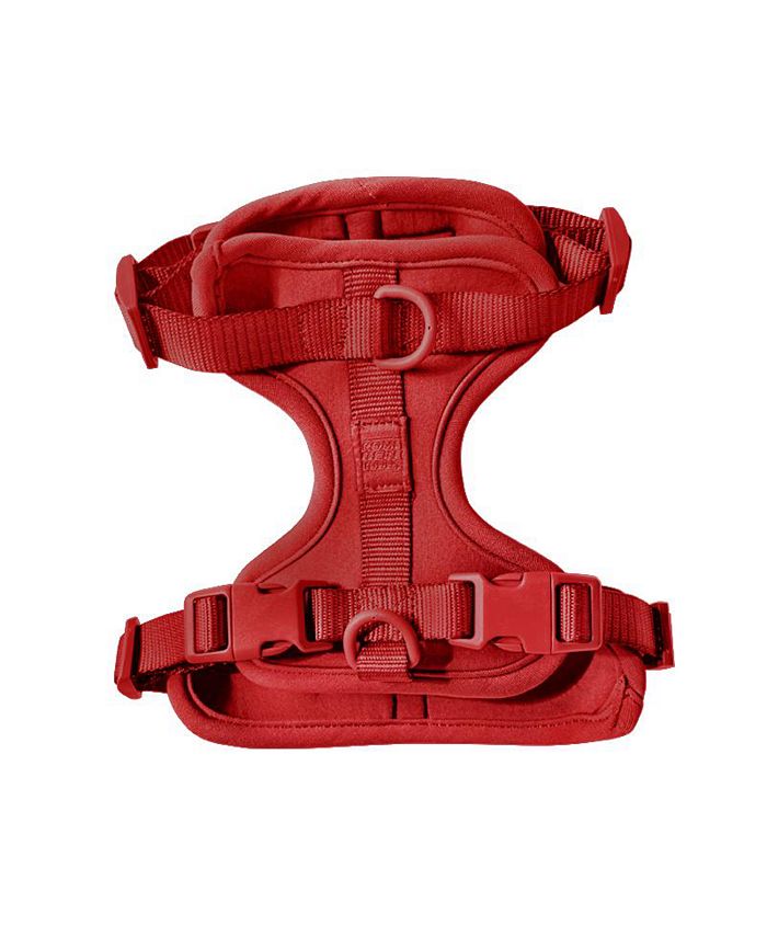 Come Here Buddy Dog Harness Macy's