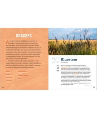 100 Plants to Feed the Birds- Turn Your Home Garden into a Healthy Bird Habitat by Laura Erickson