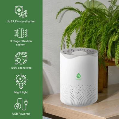 USB Powered Air Purifier With Night Light