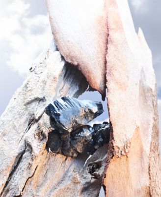 2-Pc. Man Rain Essence Eau de Parfum Gift Set