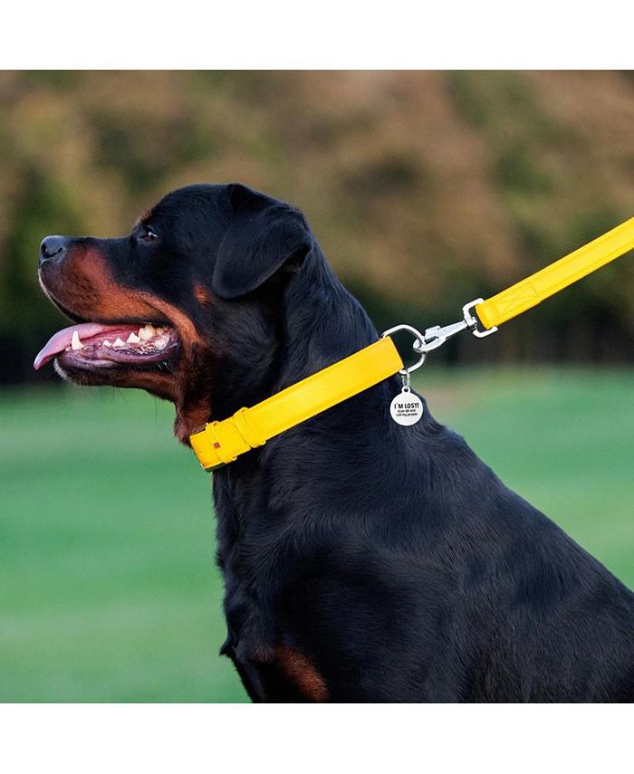 Waudog Leather Round Clip Leash W6MM - L183CM MINT
