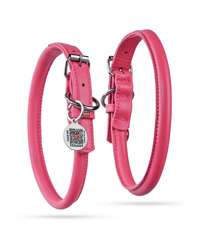 Waudog Glamour genuine leather dog collar with QR passport, rolled Macy's