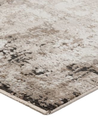 Denizi DZ2 5'3" x 7'8" Area Rug