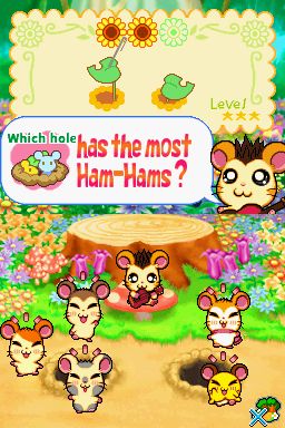 Hi! Hamtaro: Ham-Ham Challenge - Nintendo DS