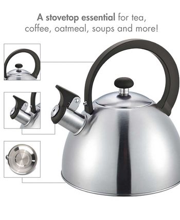  Milestone Camping 24860 Stainless Steel Whistling Kettle, Orange,  2L : Home & Kitchen