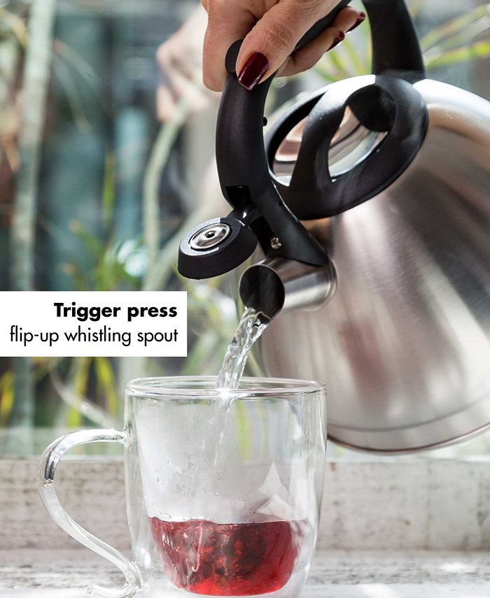 Primula Stainless Steel 3 Quart Cascade Whistling Stovetop Tea Kettle