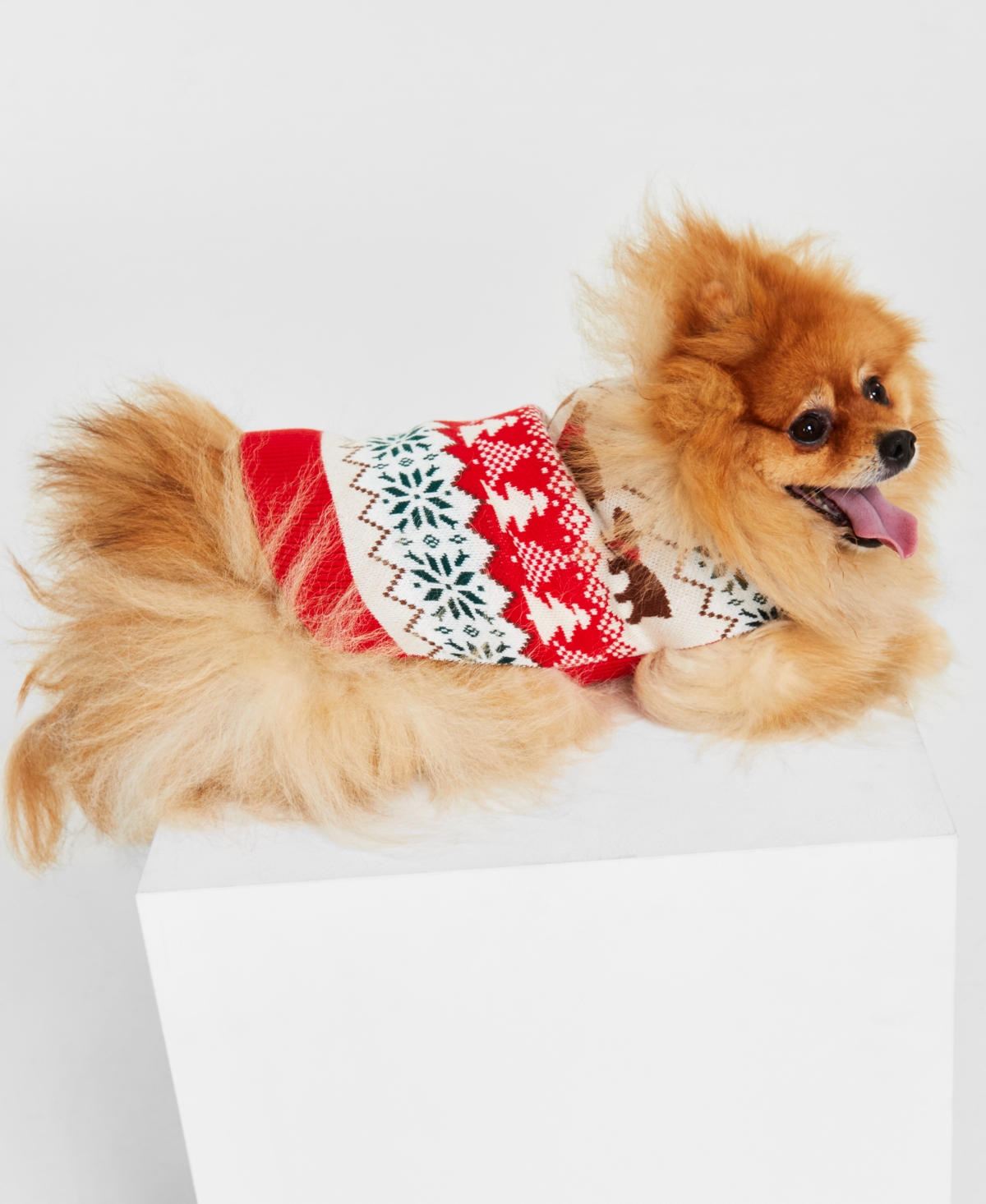 Holiday Lane Dog Santa Bear Sweater, Created for Macy's - Ravishing Red Combo