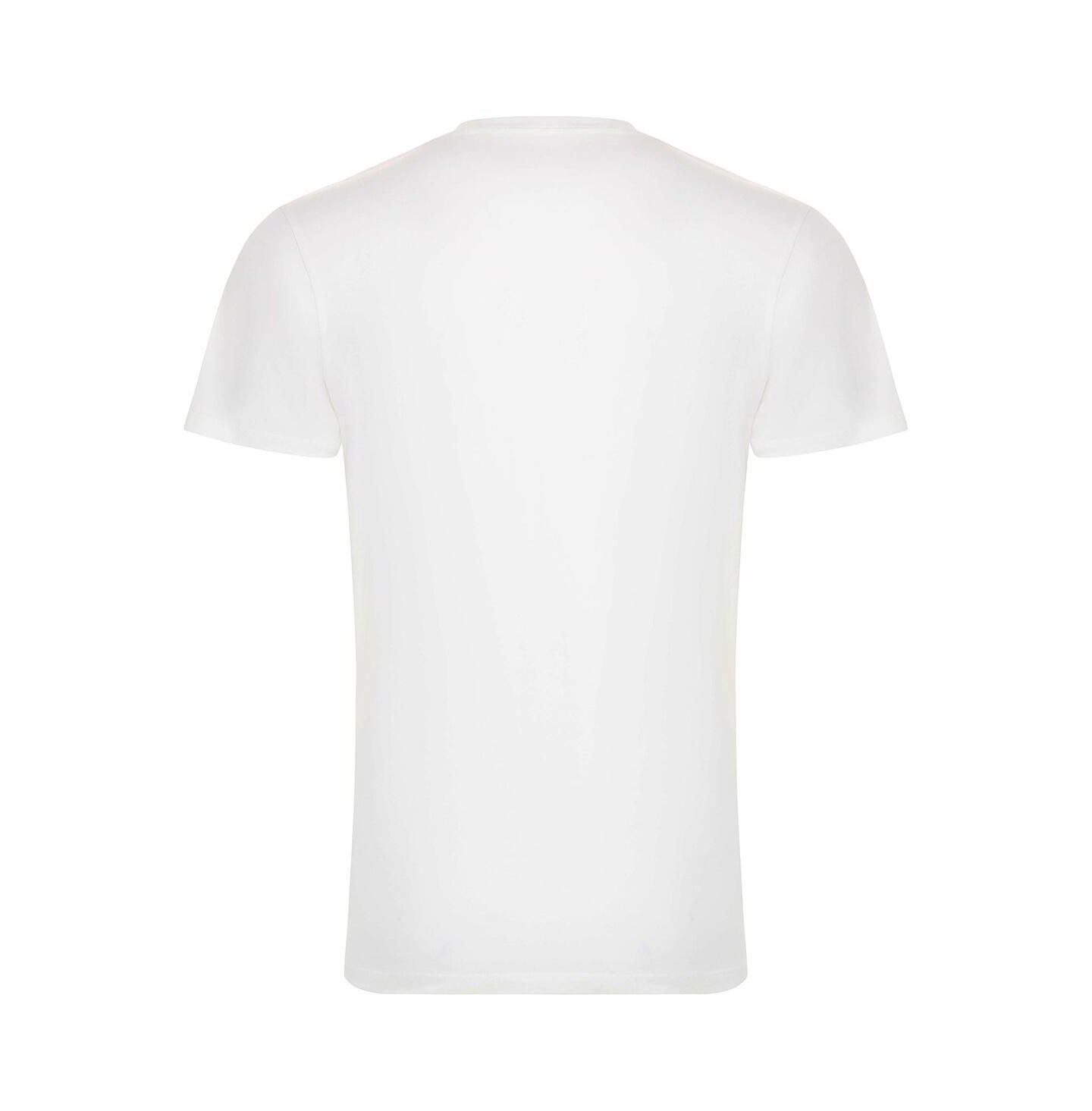Футболка Sportiqe White Chicago Bulls 1966 Collection City Flag Bingham — фото 4