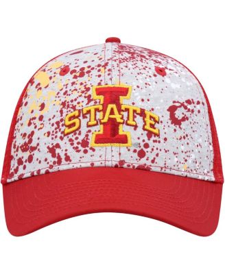 Men's  Gray, Cardinal Iowa State Cyclones Love Fern Trucker Snapback Hat