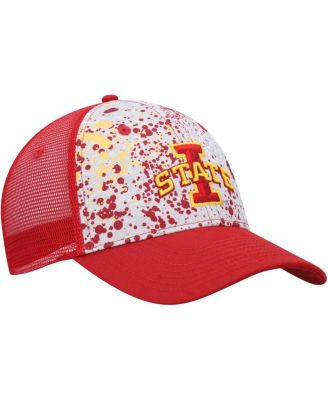 Men's  Gray, Cardinal Iowa State Cyclones Love Fern Trucker Snapback Hat