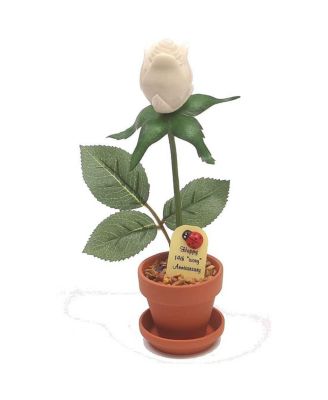 JustPaperRoses