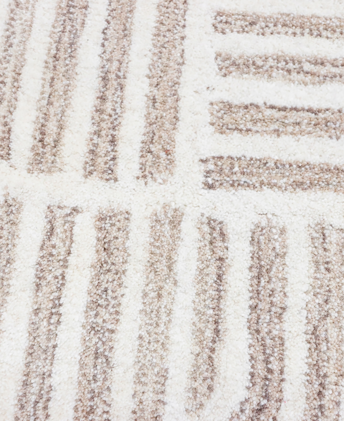 Bb Rugs Alistar ASR283 Area Rug