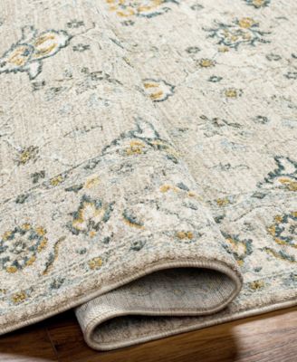 Dresden DRE-2311 2'7" x 4' Area Rug