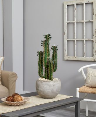 2.5' Cactus Artificial Plant in Bowl Planter
