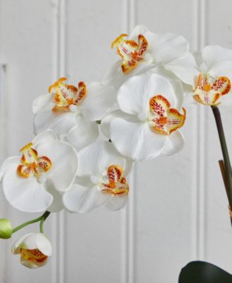 Double Phalaenopsis Orchid Artificial Arrangement in White Ceramic Vase