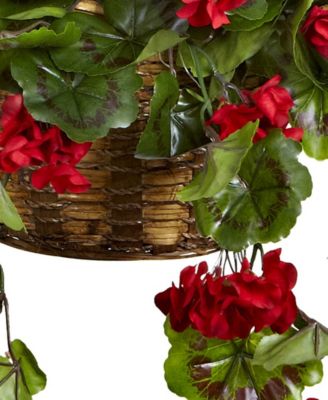 Geranium UV-Resistant Indoor/Outdoor Hanging Basket