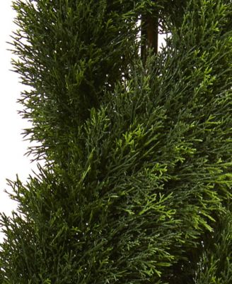 Double Pond Cypress Spiral Indoor/Outdoor Topiary