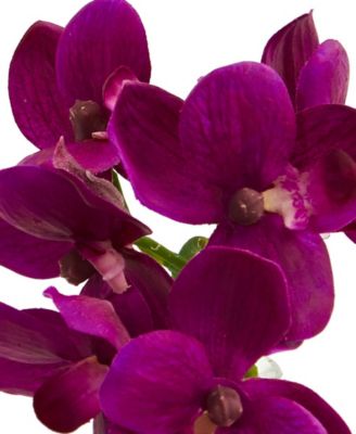 9'' Phalaenopsis Orchid Artificial Arrangement in Glass Vase, Set of 3