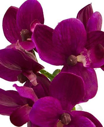 Nearly Natural - 9'' Phalaenopsis Orchid Artificial Arrangement in Glass Vase, Set of 3