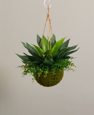 Agave and Maiden Hair Artificial Plant in Hanging Basket (Indoor/Outdoor)