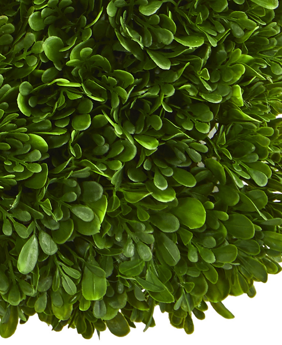 Shop Nearly Natural 17" Tea Leaf Square Wreath In Green