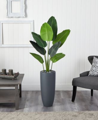 5.5' Traveler's Palm Artificial Tree in Gray Planter