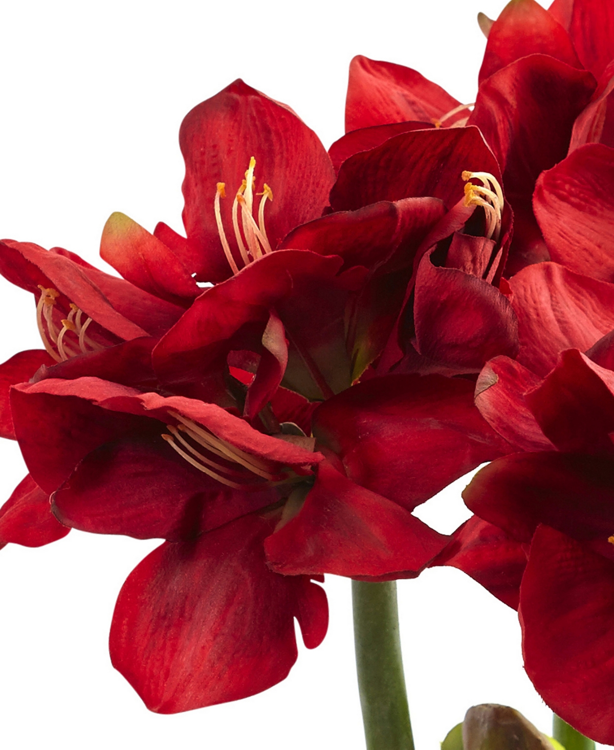 Nearly Natural Amaryllis Arrangement w/Vase