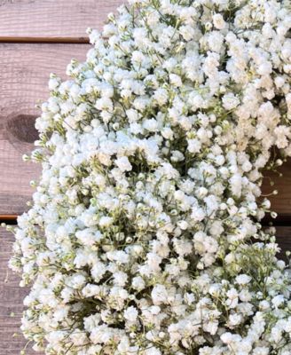 Fresh Real Babies Breath Spring Wreath