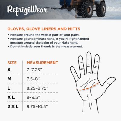 Men's Extreme Freezer Gloves with Touch-Rite Nib - Insulated, Impact Protection, Touchscreen Compatible Work Gloves for -30°F